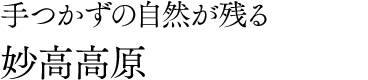 手つかずの自然が残る 妙高高原