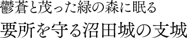 鬱蒼と茂った緑の森に眠る 要所を守る沼田城の支城