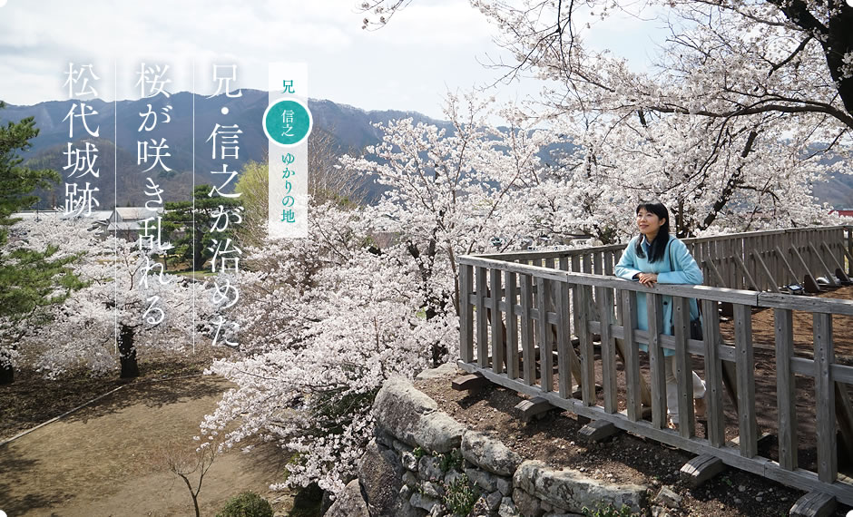 兄・信之が治めた桜が咲き乱れる松代城跡