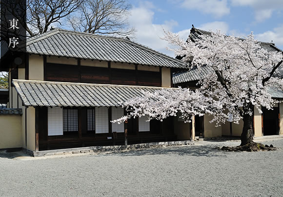 東序