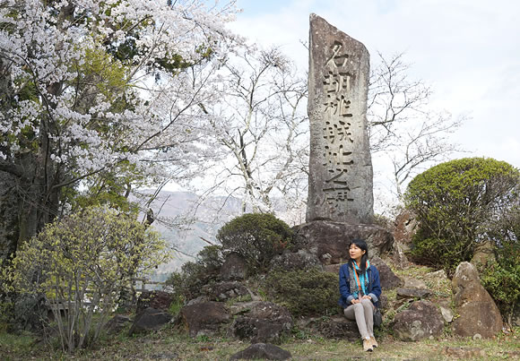 名胡桃城