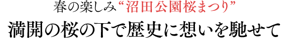 春の楽しみ「沼田公園桜まつり」 満開の桜の下で歴史に想いを馳せて