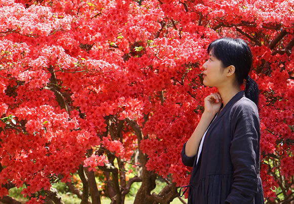 お屋敷公園