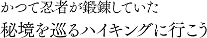 かつて忍者が鍛錬していら秘境を巡るハイキングに行こう