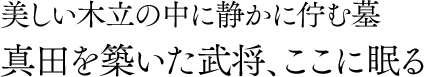 美しい木立の中に静かに佇む墓 真田を築いた武将、ここに眠る